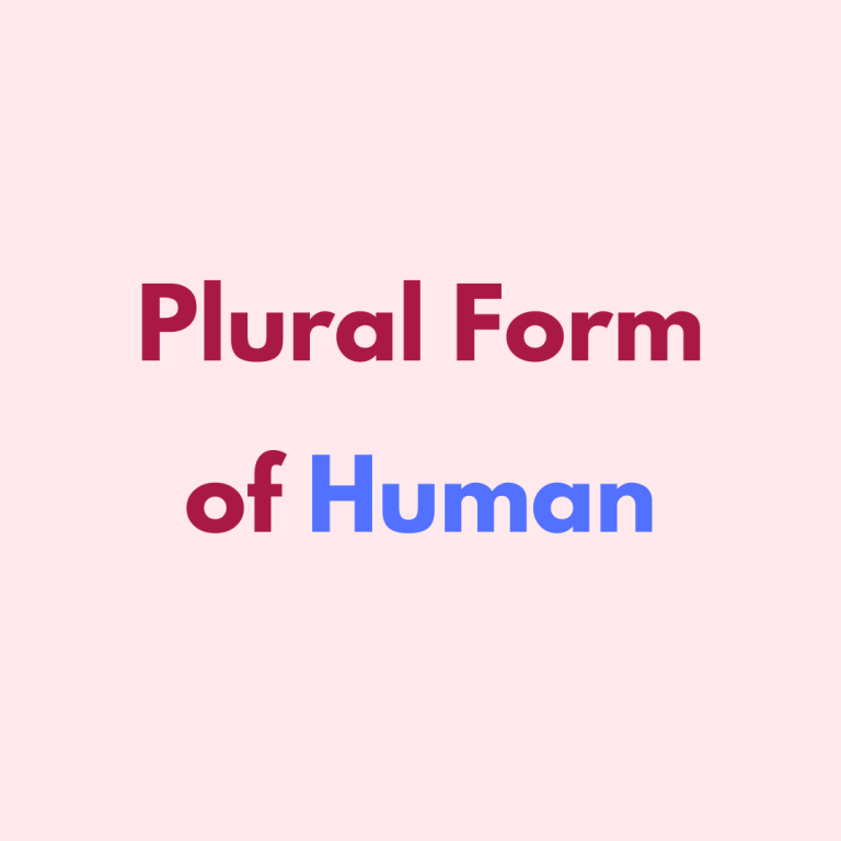 What is the plural form of Human?